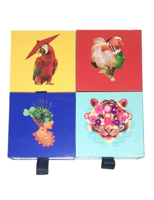 gangzai-coaster-set1