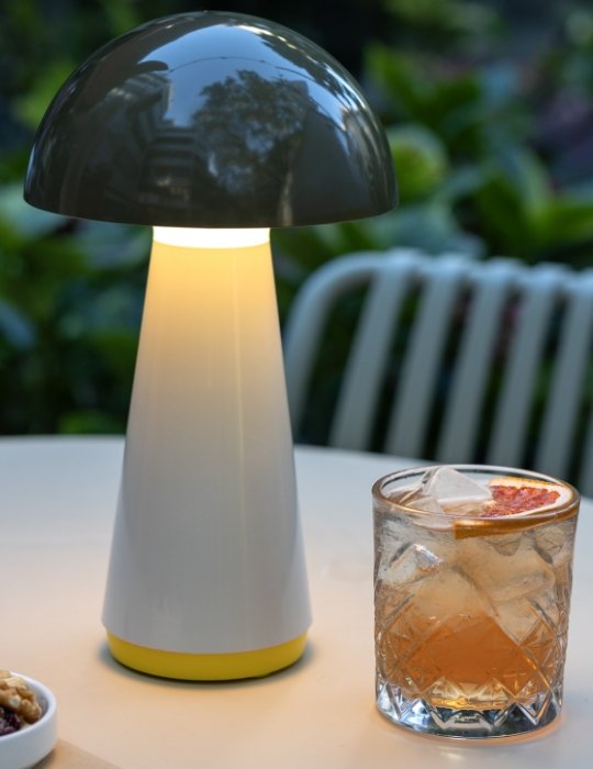 Remember - Lamp Bob Olijf