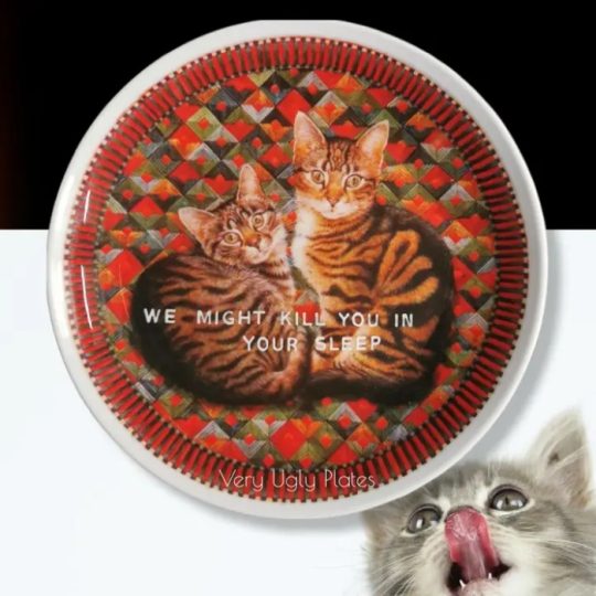 Very Ugly Wall Plate Cat