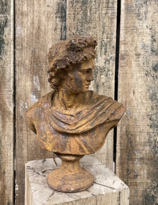 steen apollo buste gietijzer